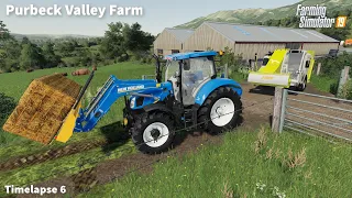 Animals Care, Feeding Cows, Mowing & Windrowing Grass│Purbeck Valley│FS 19│Timelapse#6