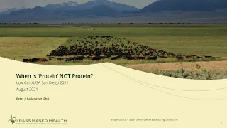 Dr. Peter Ballerstedt - 'When is 'Protein' NOT Protein?'