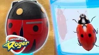 Videos For Kids | Roger and The Ladybug Bag | Hero Cartoon | Videos For Kids