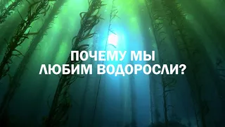 ЭТО НУЖНО ЗНАТЬ. ОСОБЕННОСТИ ПРОДУКТА БИОСИ