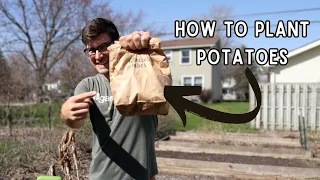 Plant Potatoes Like THIS For a HUGE HARVEST