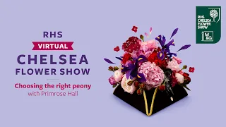 Choosing the right peony, with Primrose Hall | RHS Virtual Chelsea 2021
