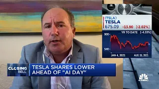 Investors have a glass-half-empty view of Tesla right now: Wedbush's Ives