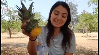 Rich man gives a pineapple filled with money to single mom to save his daughter 😭