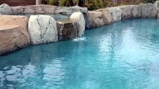 Converting to a Saltwater Pool? Know the Facts First