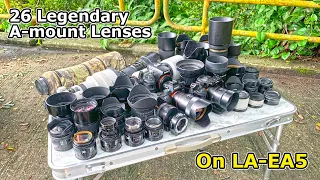 Sony LA-EA5 with 26 Legendary A-mount lenses, on a7RIV
