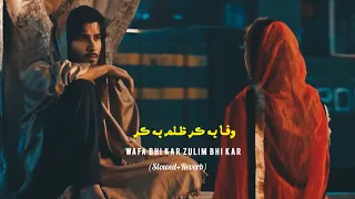 Wafa bhi kar Zulim bhi kar [ Slowed Reverb ] Sindhi Slowed | Mumtaz Molai