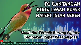 MATERI ISIAN SEREM BIKIN LAWAN BUYAR!! SUARA BURUNG Tembakan Kasar Untuk BURUNG FIGHTER - JOSS