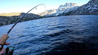 2024 Eastern Sierra Trout Opener - How To Find and Catch Monster Trout - UNDERWATER DRONE FOOTAGE!