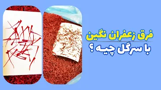 تشخیص تفاوت زعفران نگین و سرگل و مشخصات آنها Identifying difference between Nagin and Sargol saffron