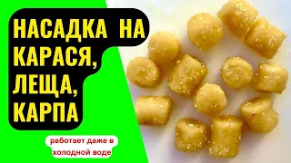 Насадка на ЛЕЩА, КАРАСЯ, КАРПА. Работает круглый год, даже по ХОЛОДНОЙ ВОДЕ.