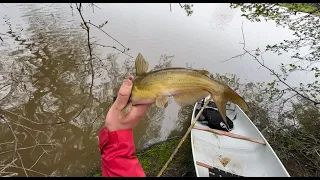 Fishing The Welland River