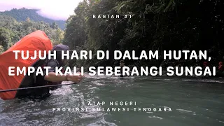 GUNUNG MEKONGGA - Atap Negeri Sulawesi Tenggara #1