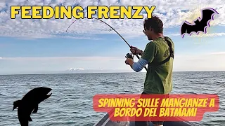 SPINNING su mangianze di ALLETTERATI a bordo del BATMAMI FISHING CHARTER