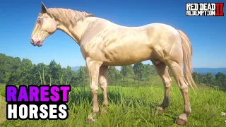 4 Rarest & Special Horses To Get Early As Arthur In Missions - RDR2
