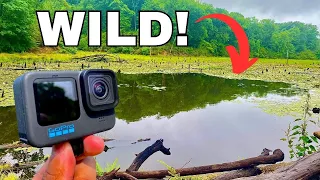 I Tossed My GoPro in a DEEP SWAMP and Saw THIS! (Mysterious Fish!?)