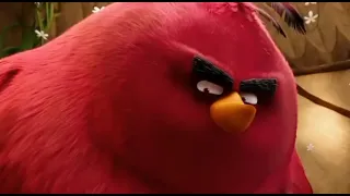 Biggest Bird