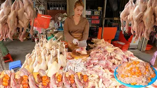 Cambodian People Lifestyle & Food Scenes - Chicken, Fish, Vegetables, Meat, Pork & More |Papa