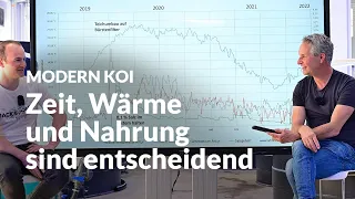 Artur und das Einfahren von Biofiltern | Modern Koi Blog #6688