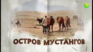 Мустанги острова Водный на реке Маныч Гудило.