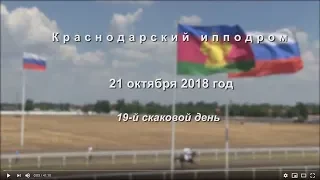 Видео 19 скаковой день - 21.10.2018г. Краснодарский ипподром