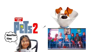 The Secret Life of Pets 2 Official Trailer Reaction | Secret life of pets 2 trailer 2019