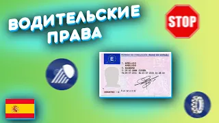 Как получить водительские права в ИСПАНИИ за 500 евро. Права в Испании. Испанский эмигрант