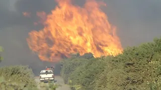 Incendios forestales: crece polémica por intencionalidad