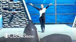 Former trainer blows the whistle on killer whale captivity at SeaWorld