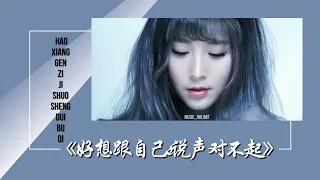 好想跟自己說聲對不起-Hao Xiang Gen Zi Ji Shuo Sheng Dui Bu Qi [趙乃吉-Zhao Na Ji] chi/pinyin lyrics