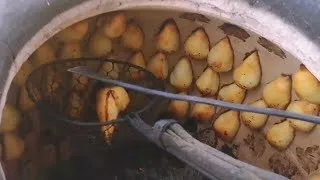 УЗБЕКСКАЯ Самса Капля популярная уличная еда узбеков | Samsa is a popular street food of Uzbeks