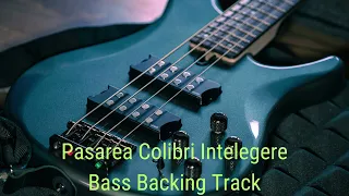 Pasarea Colibri Intelegere ( G ) Bass Backing Track With Vocals