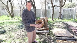 Lion's Mane and Blue Oyster Mushroom Logs