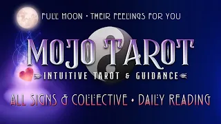 🌘🌗🌖🌕🌔🌓🌒ALL SIGNS & COLLECTIVE 🌟 THEIR FEELINGS 4 U ☕ DailyReading 🌟Timestamped after Live