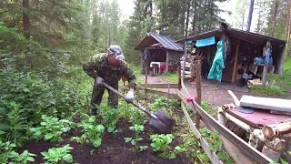 СОБРАЛИСЬ и УЕХАЛИ в ИЗБУ на ТРИ НОЧИ. ТАЁЖНЫЙ БЫТ на КОРДОНЕ. ПОГОДА не ПОМЕХА. Вторая часть.