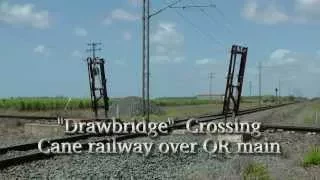 Sugar Cane Railway/QR Crossings - Meadowvale