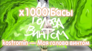 х1000 Басы - kostromin — Моя голова винтом