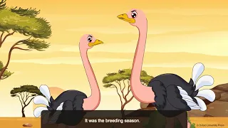 Class 4 Grandpa Fights An Ostrich