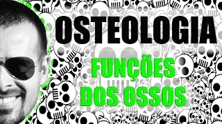 Sistema Esquelético - Funções dos ossos - Osteologia - Anatomia Humana - VídeoAula 007