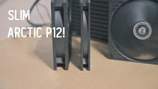 The Arctic P12 Slim - New Deputy in Town?