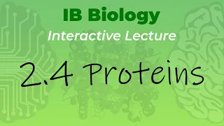 IB Biology 2.4 - Proteins - Interactive Lecture