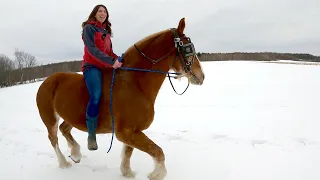 RIDING DRAFTS: My Daughter takes our Belgian Mare for a Ride!