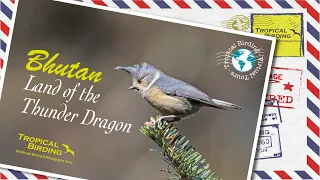 Tropical Birding Virtual Birding Tour to Bhutan by Ken Behrens