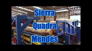 Sierra Quadra Mendes con Scanner Microtec