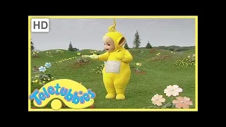 Tweet Tweet Look for Birds!  | Teletubbies | Live Action Videos for Kids | WildBrain Zigzag