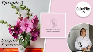 S1:E3 - Petals in Sugar | Annemarie McNamara