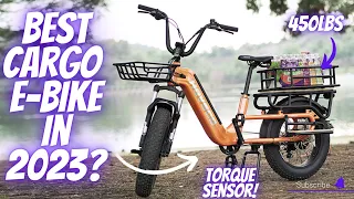 5 Best Electric Cargo Bikes 2024: Top Cargo E bike For Grocery Trips!