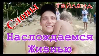 ТАНЦУЮЩИЕ СЛОНЫ. ТАЙЛАНД. КУПАНИЕ СО СЛОНАМИ.