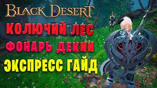 Колючий лес - Фонарь Декии | ЭКСПРЕСС ГАЙД ПО СПОТУ| НЕРФ ИЛИ АП??? | Black Desert