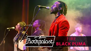 Fire | Black Pumas live | Rockpalast 2020